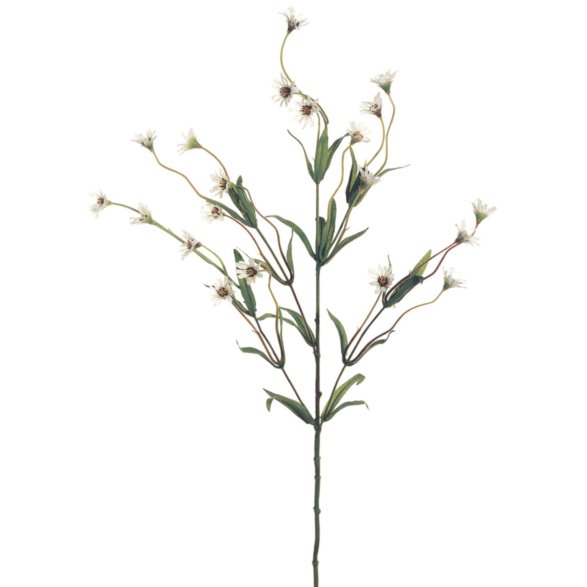 16 Pack: Cream Wild Daisy Spray by Ashland®